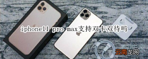 iphone11 pro max支持双卡双待吗