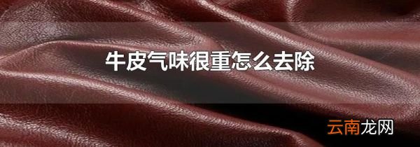 牛皮气味很重怎么去除