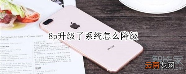 8p升级了系统怎么降级