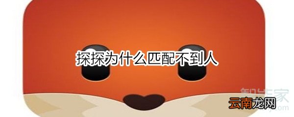 探探为什么匹配不到人