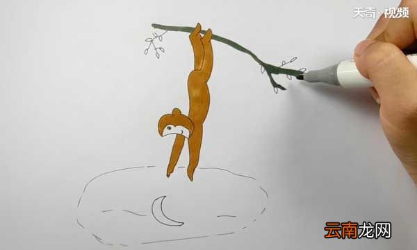 猴子捞月简笔画