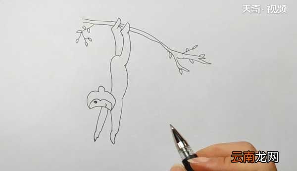 猴子捞月简笔画