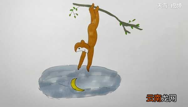 猴子捞月简笔画