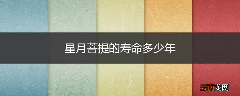 星月菩提的寿命多少年