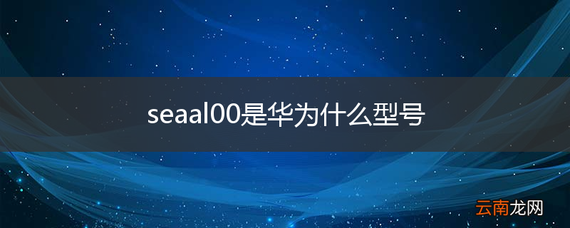 seaal00是华为什么型号