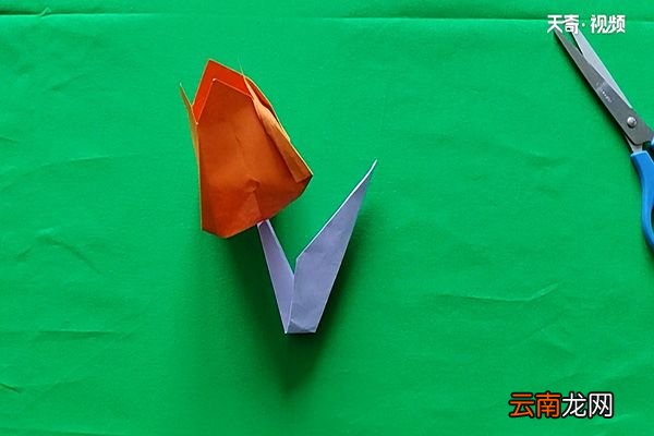 郁金香怎么折