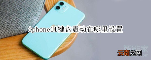 iphone11键盘震动在哪里设置
