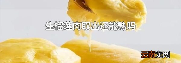 生榴莲肉取出还能熟吗