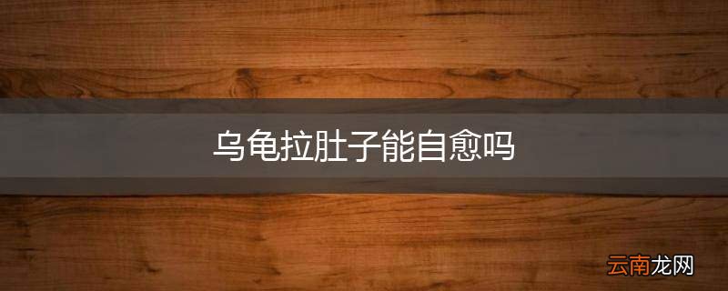 乌龟拉肚子能自愈吗