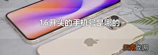 16开头的手机号是哪的