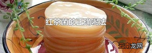 红茶菌的正确喝法