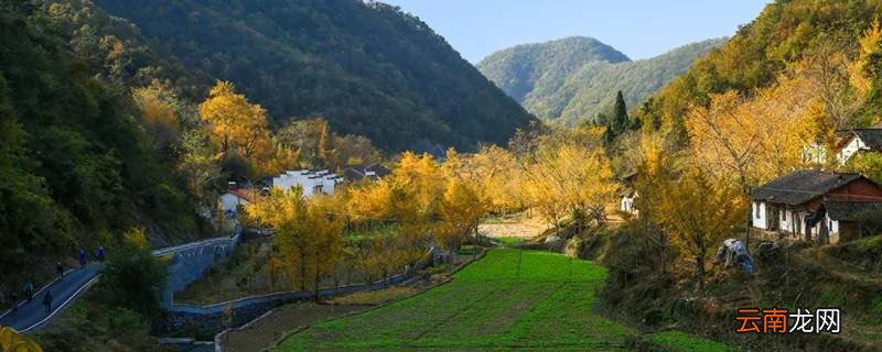 钱冲村是哪个省市
