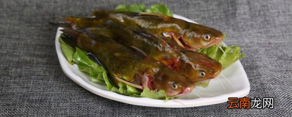 黄骨鱼的做法怎么做好吃 红烧黄骨鱼怎么做