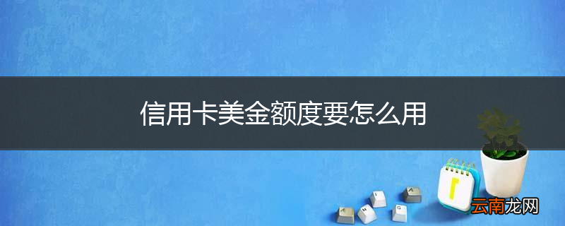信用卡美金额度要怎么用