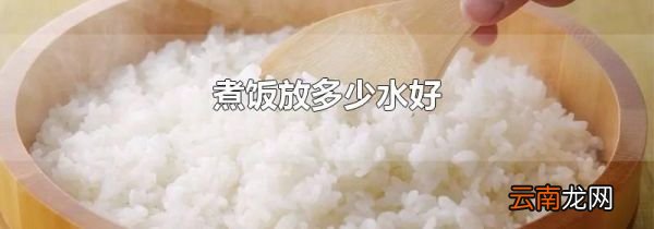 煮饭放多少水好
