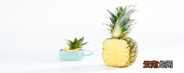 菠萝泡多久可以吃 吃菠萝需要泡多久