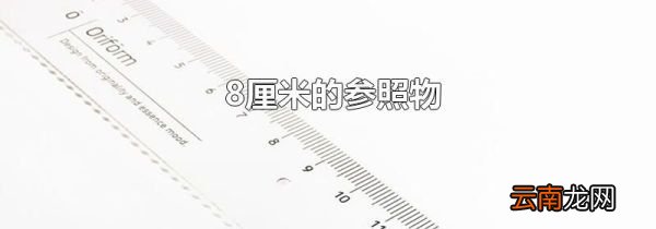 8厘米的参照物