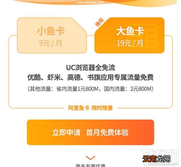 阿里大鱼卡和小鱼卡哪个好？阿里大小鱼卡区别介绍