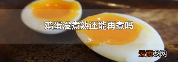 鸡蛋没煮熟还能再煮吗