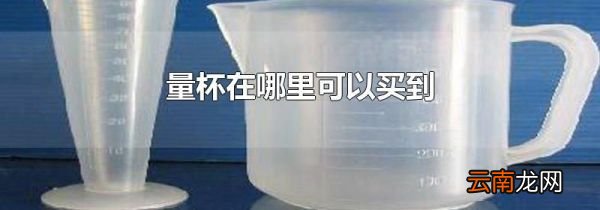 量杯在哪里可以买到
