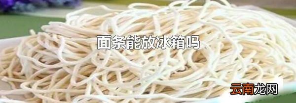 面条能放冰箱吗