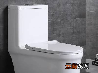 瓶盖掉马桶堵了怎么办