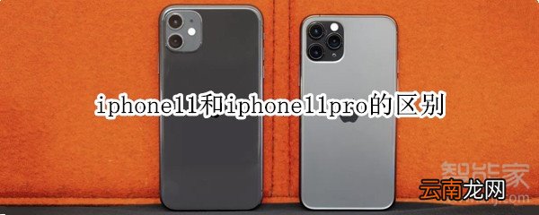iphone11和iphone11pro的区别