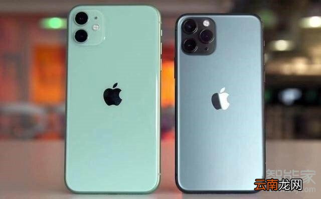 iphone11和iphone11pro的区别