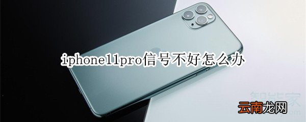 iphone11pro信号不好怎么办