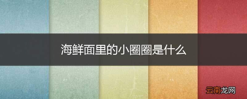 海鲜面里的小圈圈是什么