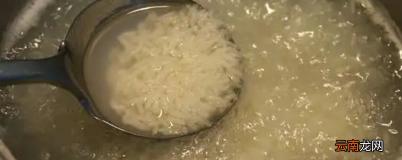 高压锅煮粥水和米的比例是多少