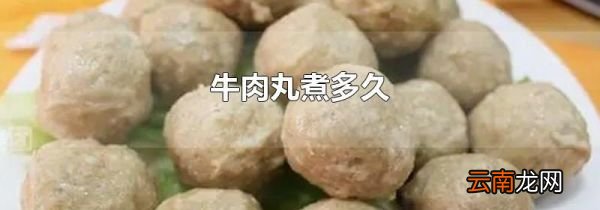 牛肉丸煮多久