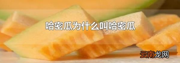 哈密瓜为什么叫哈密瓜