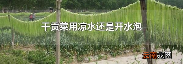 干贡菜用凉水还是开水泡