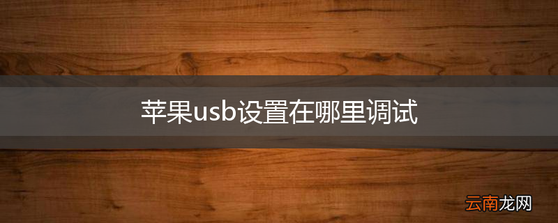 苹果usb设置在哪里调试