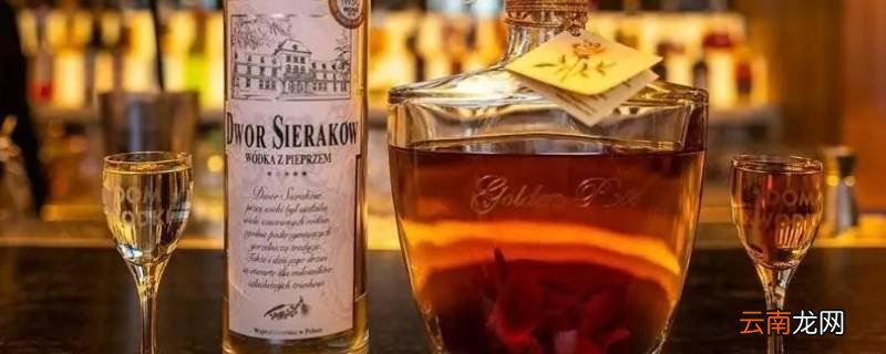 vodka是什么酒