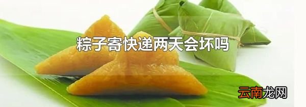 粽子寄快递两天会坏吗
