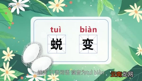 蜕变的意思 蜕变的意思是什么