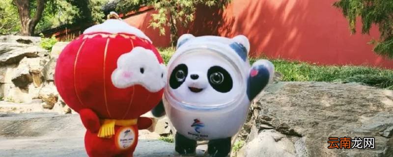 冰墩墩有啥用