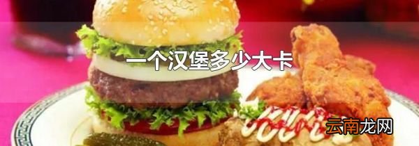 一个汉堡多少大卡