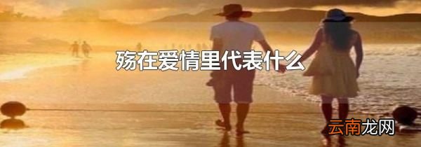 殇在爱情里代表什么