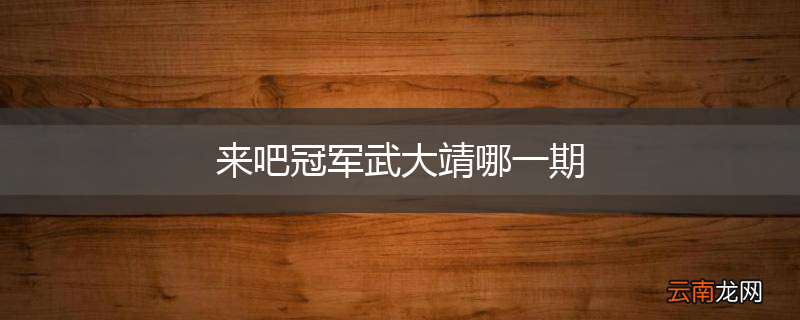 来吧冠军武大靖哪一期
