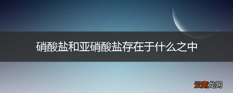硝酸盐和亚硝酸盐存在于什么之中