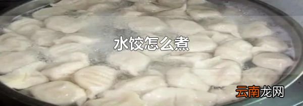 水饺怎么煮