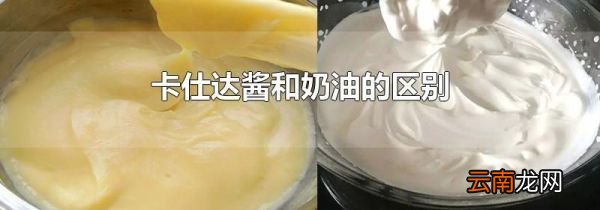 卡仕达酱和奶油的区别
