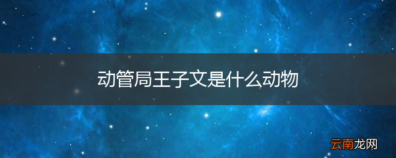 动管局王子文是什么动物