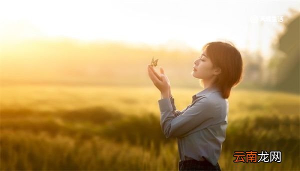 凤凰女是什么意思
