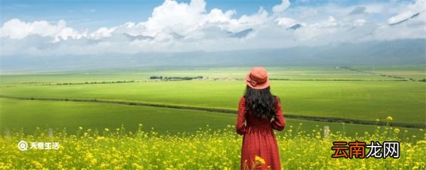 凤凰女是什么意思