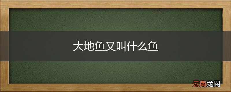 大地鱼又叫什么鱼