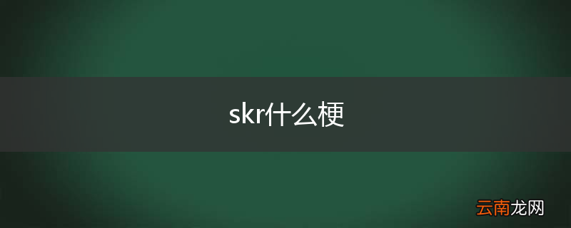 skr什么梗